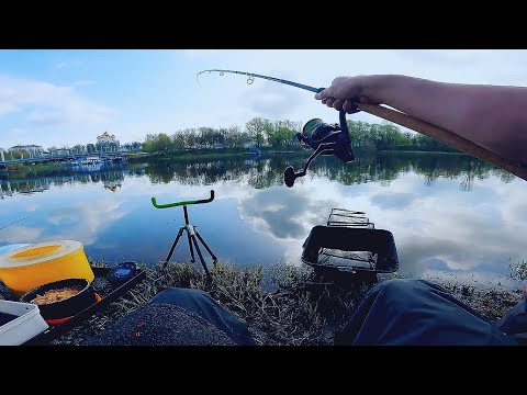 от А до Я - РЫБАЛКА на ЛЕЩА! Умная ЛОВЛЯ рыбы в мелочах! ПРИКОРМКА на молоке! Fishing on the feeder! от А до Я - РЫБАЛКА на ЛЕЩА! Умная ЛОВЛЯ рыбы в мелочах! ПРИКОРМКА на молоке! Fishing on the feeder!