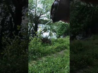 Черепаха писает#черепаха #рыбалка #рибалка #поплавок #assistancetv #карась #прикол #природа