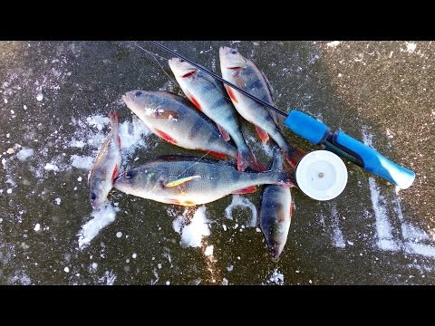 Ловля окуня на балансир 2017