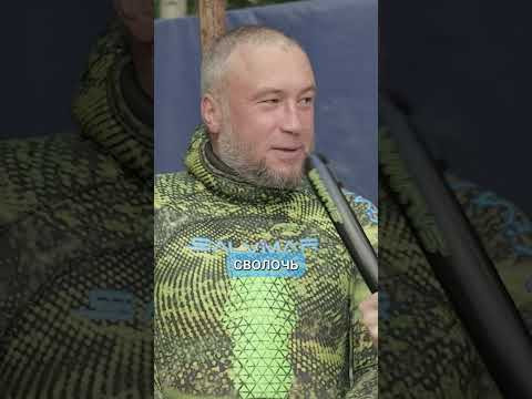 Что рыбы думаю о подводных охотниках? Что рыбы думаю о подводных охотниках?