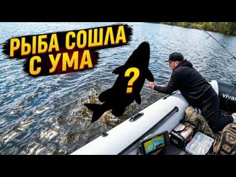 РЫБА СОШЛА С УМА. ПОЙМАЛИ НЕ ТО, ЧТО ХОТЕЛИ. РЫБАЛКА НА СПИННИНГ