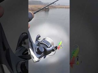 ГДЕ ЛЁД?  #fishing #рыбалка #балансир #зимняя_рыбалка  #assistancetv #fishinglife #окунь