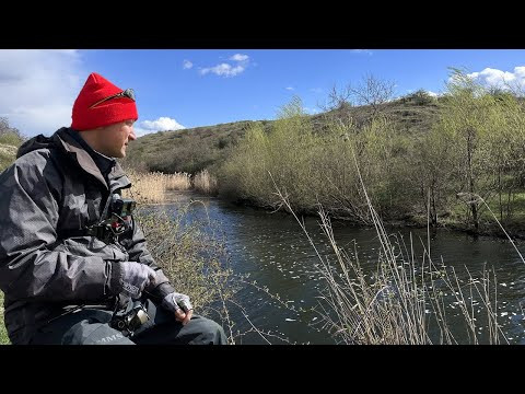ТАК скільки тут РИБИ? ЛОВЛЯ ОКУНЯ на джиг! Риболовля на ОДИН спінінг! Рибалка з берега ТАК скільки тут РИБИ? ЛОВЛЯ ОКУНЯ на джиг! Риболовля на ОДИН спінінг! Рибалка з берега