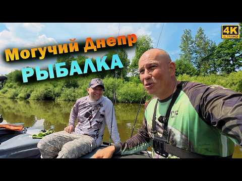 Рыбалка на МОГУЧЕМ Днепре и ХОРОШИЕ новости от CF