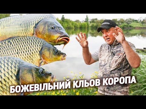 Короп зійшов з ума на нові насадки. ДаблКекс та Віагра Короп зійшов з ума на нові насадки. ДаблКекс та Віагра