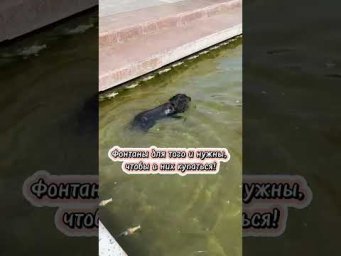 Фонтаны для того и нужны&hellip;