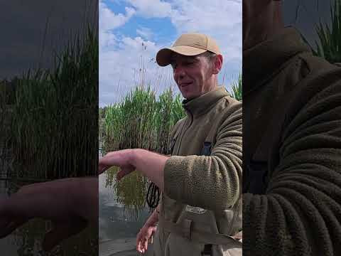 Обгородив все СІТКАМИ #shorts #солома #рибалка Обгородив все СІТКАМИ #shorts #солома #рибалка