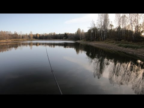 В поисках окуня | В тайге по малым рекам | Рыбалка в октябре В поисках окуня | В тайге по малым рекам | Рыбалка в октябре