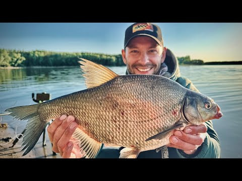 Первый ТРОФЕЙНЫЙ ЛЕЩ! Фидерное турне, серия 4. Ульяновск, Самара