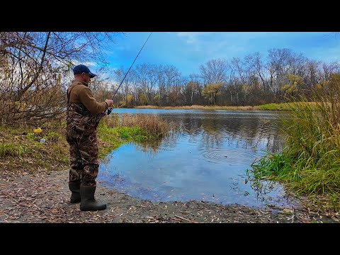 По БЕРЕГУ РІЧКИ ПСЬОЛ! РИБАЛКА НА СПІНІНГ!