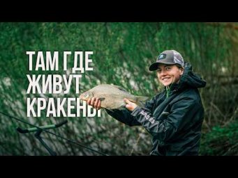 ПОСЛЕДНИЙ ДЕНЬ КЛЁВА? 500 км за лещом на Западную Двину: дождь, грязь и золотые &laquo;кракены&raquo;