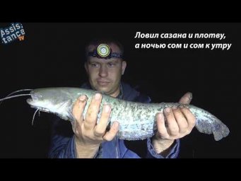 Ловил сазана и плотву, а ночью сом и сом к утру.