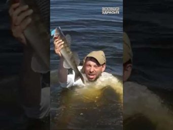 &laquo;Рыбацкий&raquo; АЛФАВИТ!) Версия #снастиздрасьте