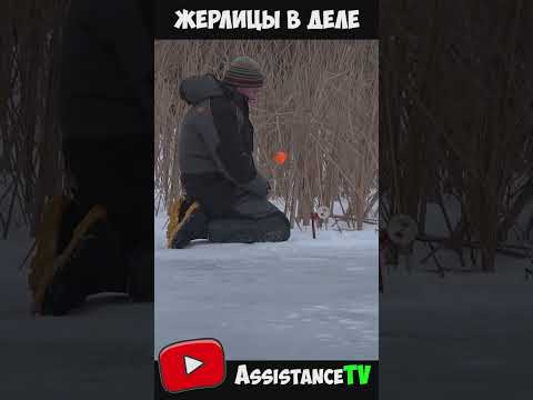 Сработка! Щука на жерлицы! Первый лёд рыбалка зимой