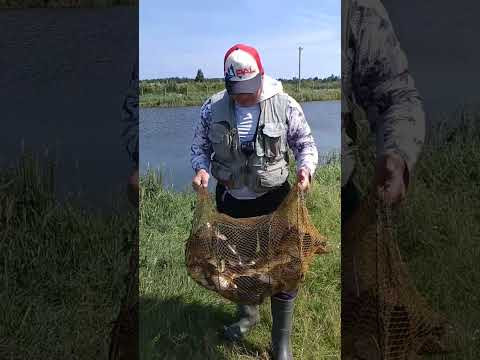 19 июня 2025 г.