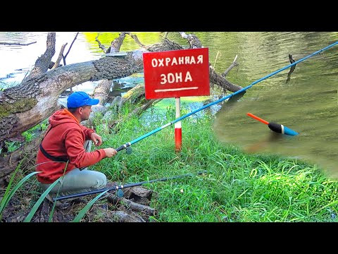РЫБАЛКА на ЗАБРОШЕННОМ ПЛАТНИКЕ!!! ЧТО ОНИ ОСТАВИЛИ ПОСЛЕ СЕБЯ.. ЛОВЛЯ КАРАСЯ на ПОПЛАВОК ЛЕТОМ 2024