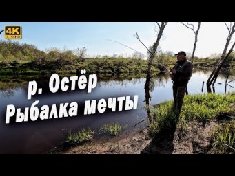 Река Остёр. Рыбалка мечты