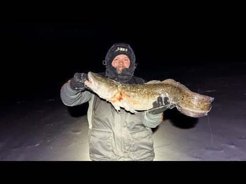 Огромный НАЛИМ НА ПОЛЯРНОМ КРУГЕ ПОПАЛСЯ СРАЗУ ПО ПРИЕЗДУ