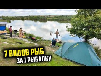 7 ВИДОВ РЫБ ЗА 1 РЫБАЛКУ! Это было СЛИШКОМ круто! Семейная рыбалка с ночевкой