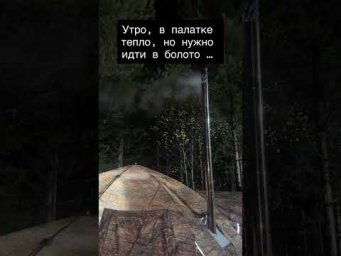 Утро в тайге       #hunting #охотник #охотанагуся #охотанаказарку