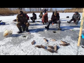 КАРАСЯКИ ПОРОСЯТА на озері, Рибалка МРІЯ / Топимо СОЛОМУ
