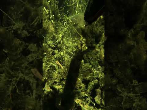 Выстрел точно в цель! Выстрел точно в цель!