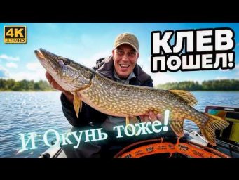 Озеро проснулось после 4-х лет спячки. Клёв ОКУНЯ и ЩУКИ!