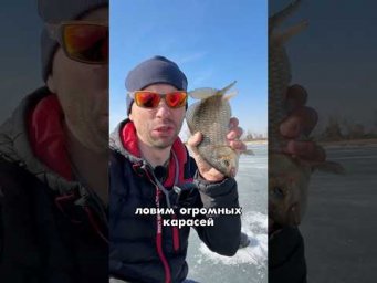 День 17✅ Карасевый БЕСПРЕДЕЛ где-то на границе с Казахстаном