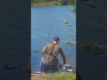Фидер - свободный закорм #fishing #assistancetv#рыбалка #фидер    #рыбалканафидер  #рыбалкаудалась