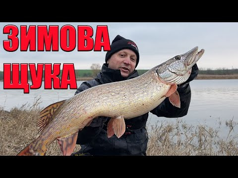 ЖОР ЩУКИ! Піймав САМУ трофейну щуку 2025 крута рибалка! ЖОР ЩУКИ! Піймав САМУ трофейну щуку 2025 крута рибалка!