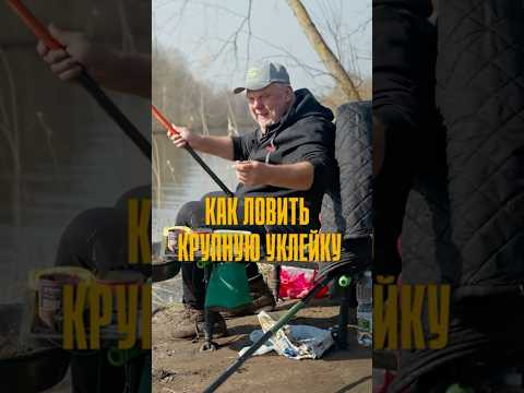 Как ловить крупную уклейку?