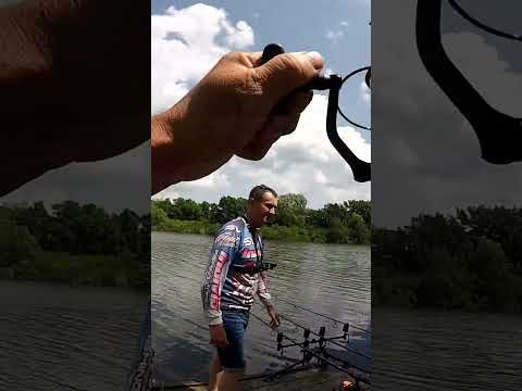 Крупний САЗАН вийшов на ГЛІСЕР #shorts #рибалка #сазан