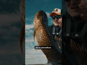 Тандем Double Croak и Rowdy Head &ndash; работает безотказно!