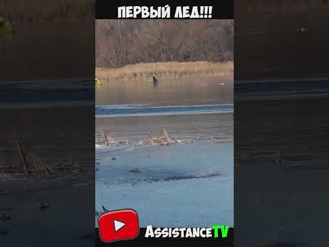 ПЕрвый лед!!! КАК ЛОВИТЬ на ПЕРВОЛЕДКЕ!!! ЛОвля зимой на льду ПЕрвый лед!!! КАК ЛОВИТЬ на ПЕРВОЛЕДКЕ!!! ЛОвля зимой на льду