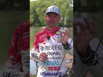 Кренк Yo-Zuri 3DS #beregfishing #fishing #галаш #спінінг