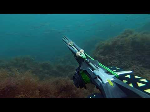 Слиться с водой / Подводная охота на кефаль Слиться с водой / Подводная охота на кефаль