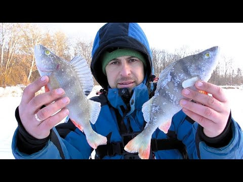 Поставив Донки на Десні. Риболовля в Сильний Мороз