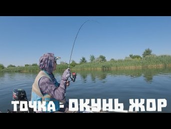 ЗНАЙШОВ СТАЮ! клюють ОКУНЯ краще на НЬОГО! Це просто