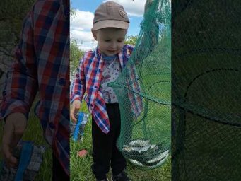 Улов Матвія #serginio #спінінг #десна #fishing
