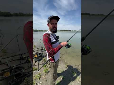 Кіна не буде !!! #рибалка #сазан #fishing Кіна не буде !!! #рибалка #сазан #fishing