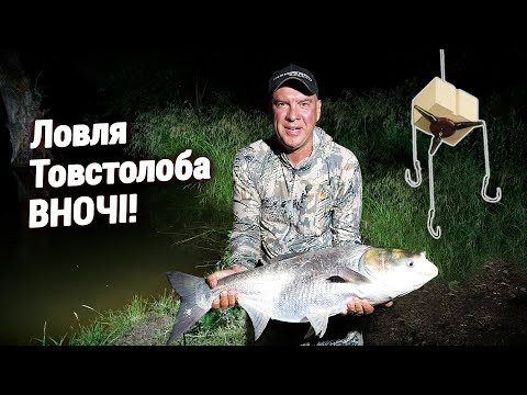 Рибалка на ТОВСТОЛОБА на КЕКС ПЛАНКТОН!