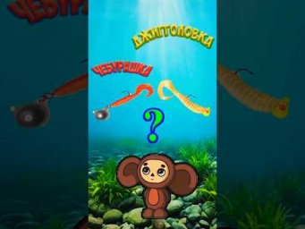 Чебурашка или джиг?  #assistancetv #рыбалка #рыбалканаспининг   #fishing #ультралайт #окунь #щука