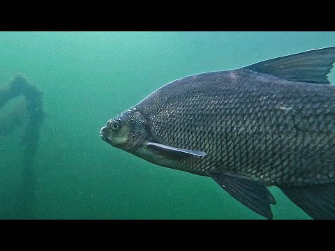 Вода кипит