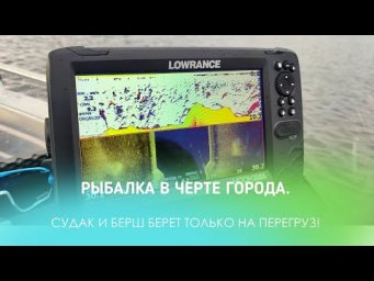 РЫБАЛКА В ЧЕРТЕ ГОРОДА. СУДАК И БЕРШ БЕРЕТ ТОЛЬКО НА ПЕРЕГРУЗ!