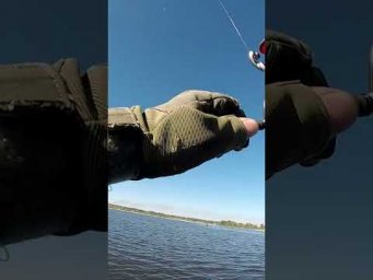ТОЧКА про яку знаю Я і Церква #shorts #рибалка