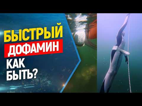 Быстрый дофамин, переизбыток информации и фридайвинг...