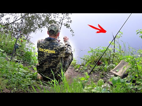 РЫБНАДЗОР ЗАНЯЛ НАШЕ МЕСТО!!! НЕ ПУСКАЕТ ЛОВИТЬ!!! РЫБАЛКА на ГОЛАВЛЯ на ХЛЕБ и ПОПЛАВОК