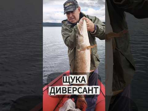 ТРОФЕЙ с эффектом &laquo;ПШШШ&raquo; 