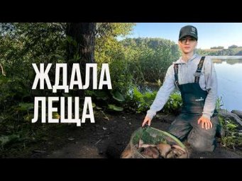 Клюет ли здесь лещ? Ночной фидер на Волчковичском водохранилище!