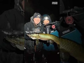 Ночные щуки с Паноптиксом